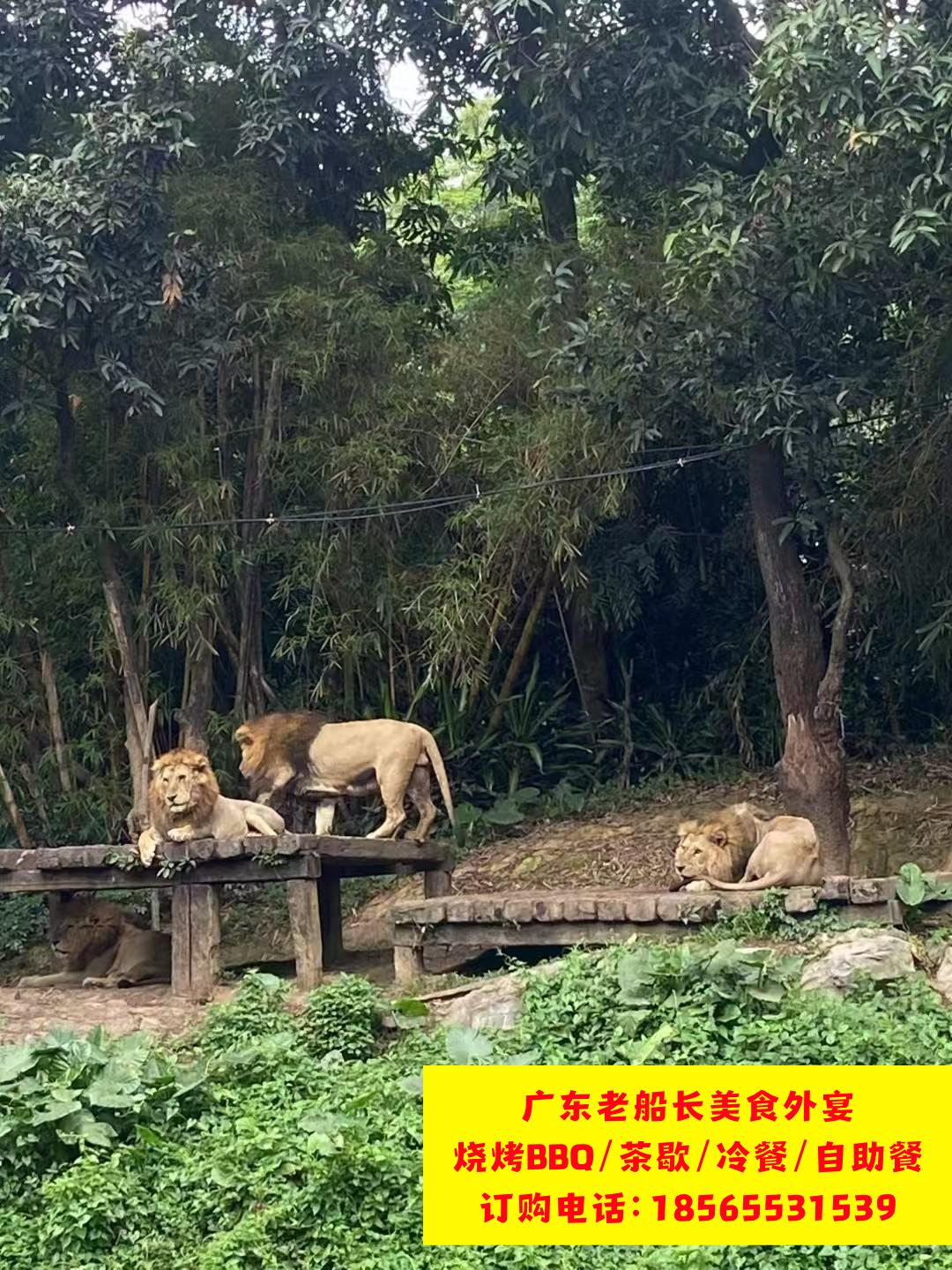 微信图片_20260223102008_588_17