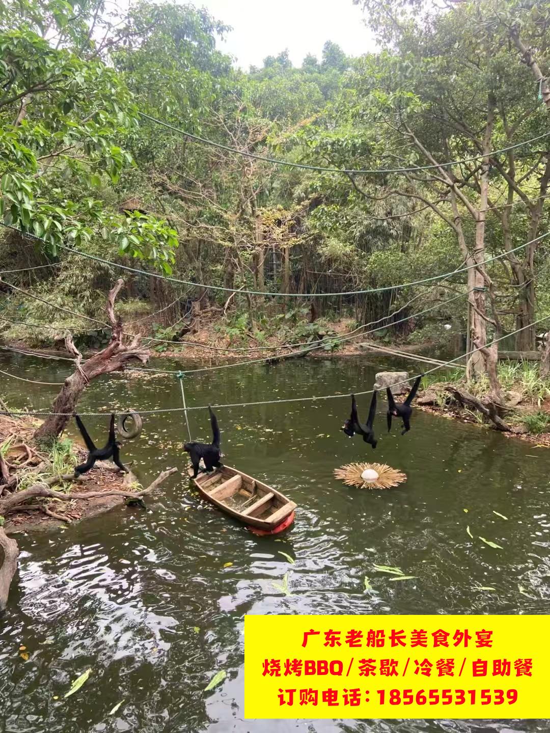 微信图片_20260223102028_594_17