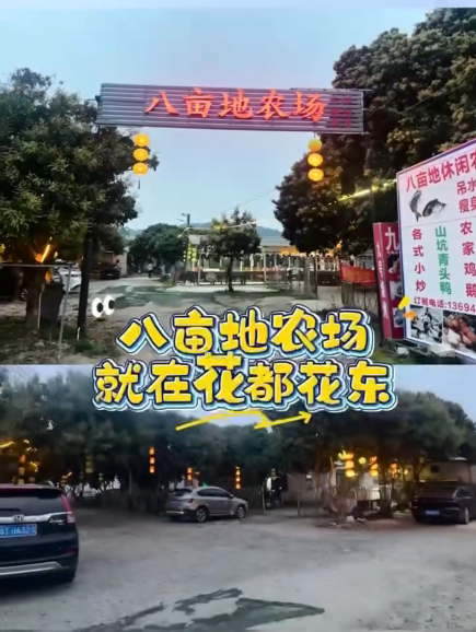 微信图片_20260331154552_907_17
