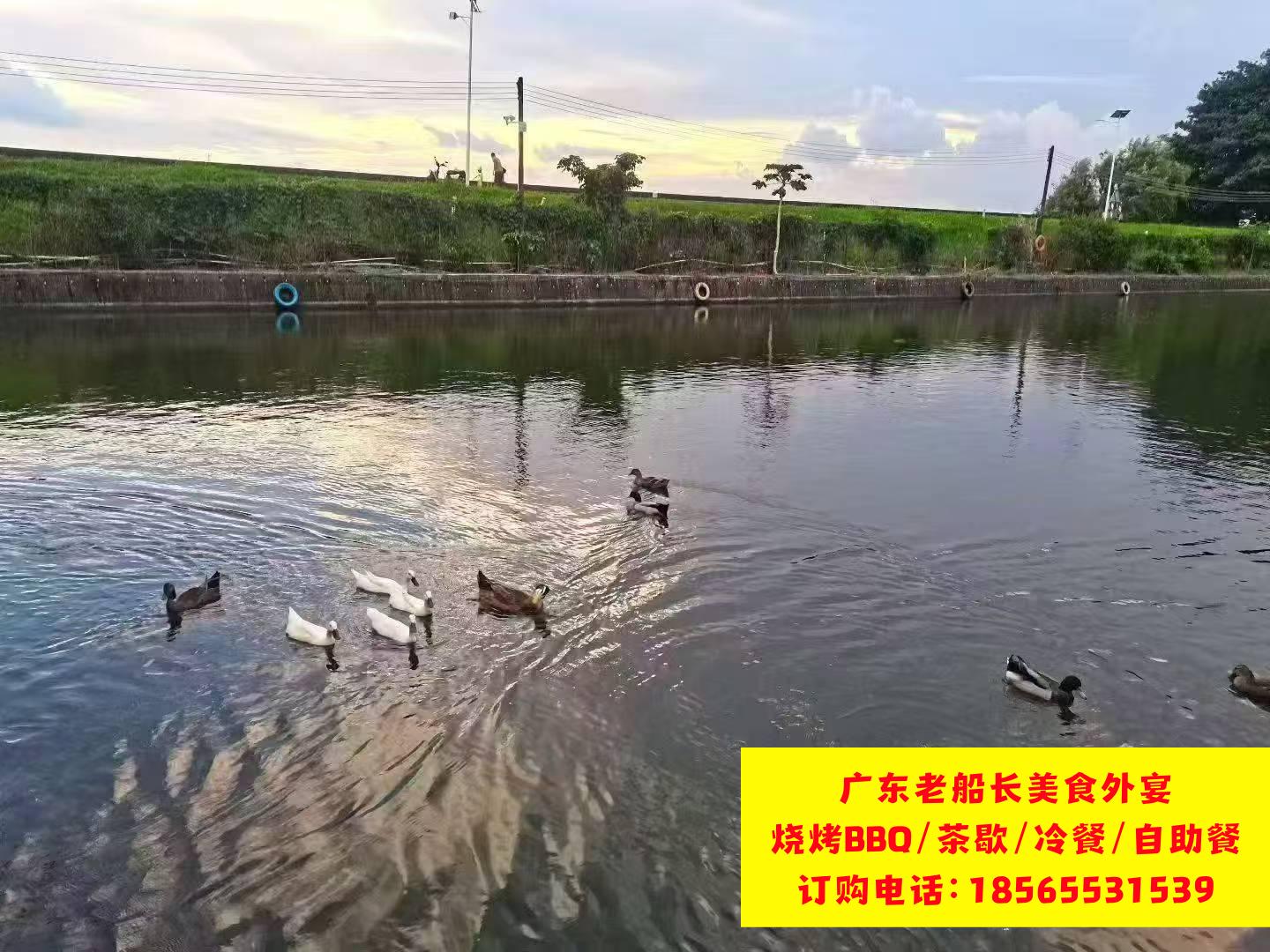 微信图片_20260501092849_1135_46