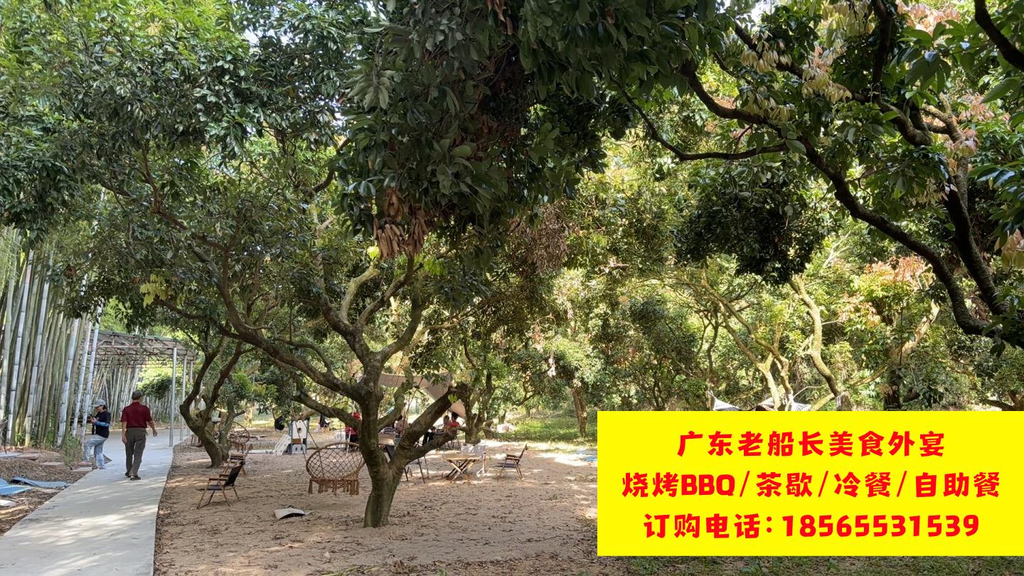 微信图片_20260510172904_1250_46