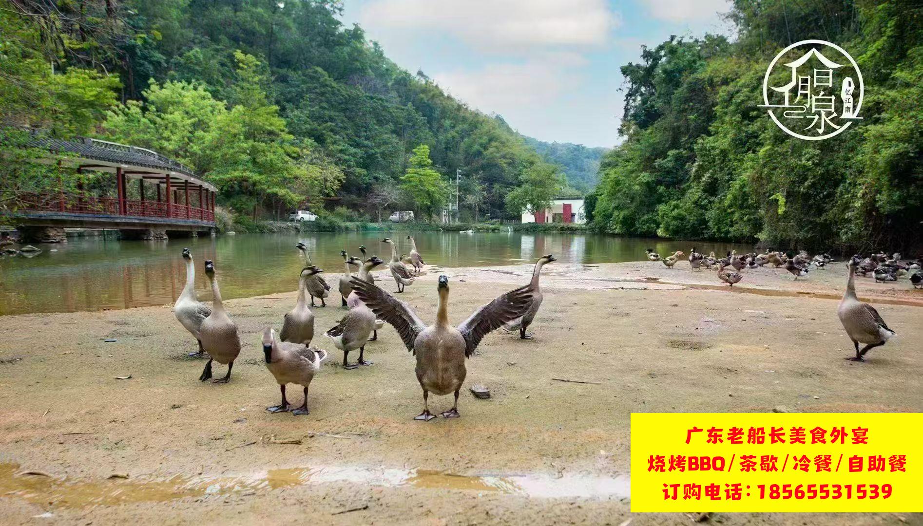 微信图片_20260516113543_1289_46