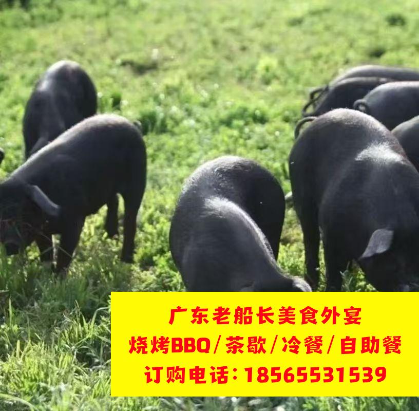 微信图片_20260517115311_956_17