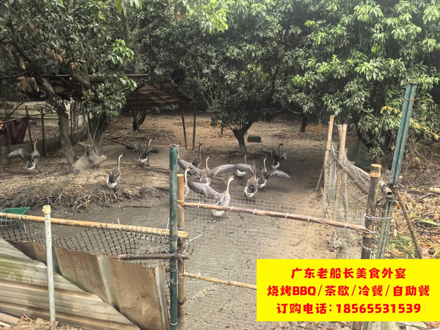微信图片_20260517203302_1324_46